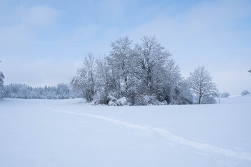 Fototapeta na wymiar Winterwonderland auf dem Land