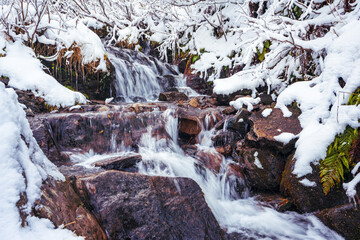 Small stream among wet stones and white snow in the picturesque Carpathian mountains in Ukraine