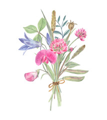 Tender bouquet of wild flowers on white isolated background. Watercolor illustration of clover, sweet peas, bluebells and herbs. Elegant composition; nice for cards and stationery. 