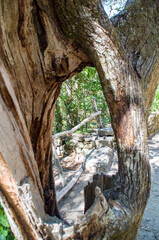 Ribera Sacra, Galicia, España