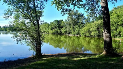 Fototapeta na wymiar Peaceful pond