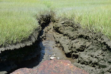 Tidal River Heavy with Mud and Muck