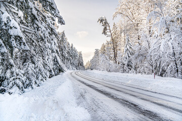 Winter Schnee Wald Feld Landschaft