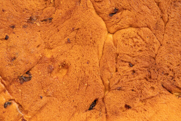 Bun sweet bread with raisins down side close up view.