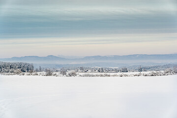 Fototapeta na wymiar Winter Schnee Wald Feld Landschaft
