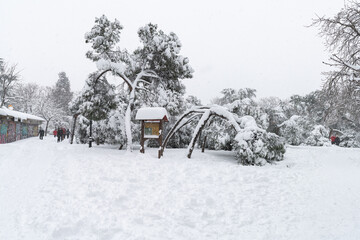 People enjoying the historical Snowtorm over Madrid city, Spain.