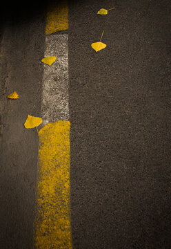 A gray asphalt road painted with a yellow-white dividing line with autumn leaves lying on it. Creative concept for overlay on product presentation, layout, template and wallpaper with place for text.