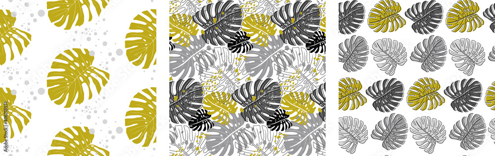 Wall mural set of patterns in monochrome shades with nonstera leaves for surface design