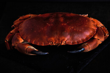 cooked red crab on slate in black