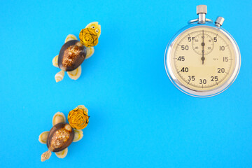 Stopwatch and little turtles. Turtles out of focus.