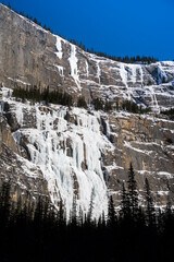 Fototapeta na wymiar Weeping wall located along the Icefields Parkway, in the Canadian Rockies