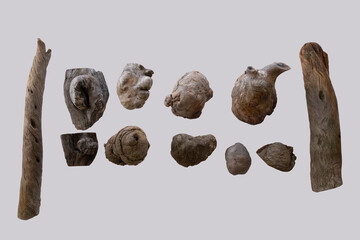 burl wood objects suitable for art taken from trees in nature