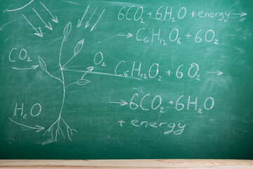 Education and science concept - photosynthesis shem and formula on the blackboard in the auditorium