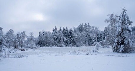 Winterwonderland auf dem Land