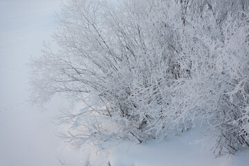 Frosty morning on the river