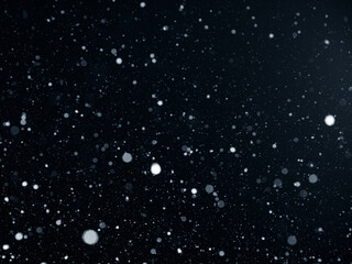 Real snowflakes on black background