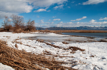 Along the shore of the lake in winter. Plants and reeds covered with snow, boats overturned by the water.