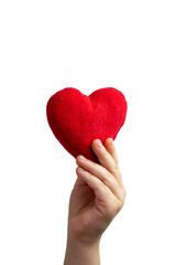 Child hand holding a red heart, white background. healthy life and love conce