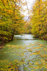 Lake and forest nature view. Autumn and forest view camping outdoors. seven lakes in Turkey