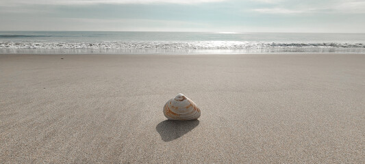 Shell on the beach in vintage style. Sand with copy space. Rockaway Beach, New York. 
