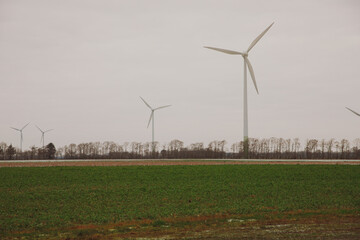 wind turbines in the field. White wind turbines with a sky without clouds in the background and...