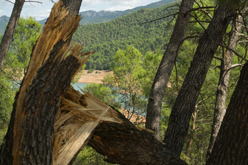 view of the Tranco reservoir located in the Sierras de Cazorla, Segura y las Villas Natural Park in Jaen, Spain