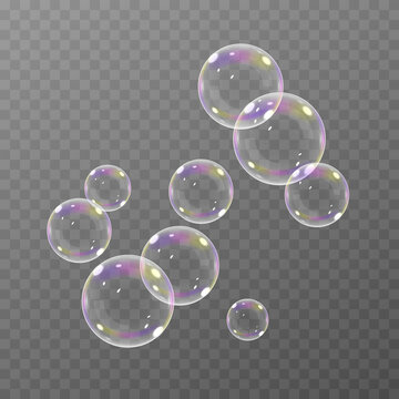 Soap Bubble Transparent Background Images – Browse 49,526 Stock Photos,  Vectors, and Video | Adobe Stock