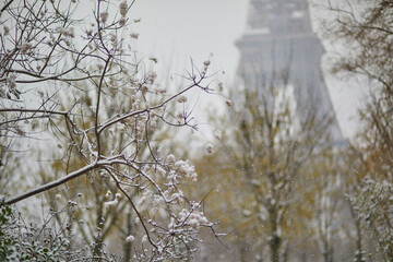 View to the Eiffel tower through branches covered with snow. Unusual weather conditions in Paris