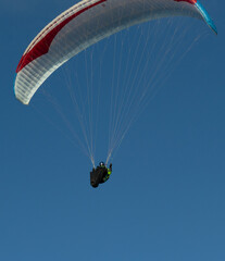 A beautiful view of a paraglide flying gliding on a clear blue sky at the golden hour with a nice wind windy breeze on a sunny day 