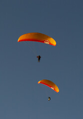 A beautiful view of a paraglide flying gliding on a clear blue sky at the golden hour with a nice wind windy breeze on a sunny day 