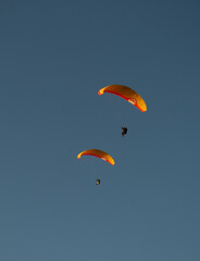 A beautiful view of a paraglide flying gliding on a clear blue sky at the golden hour with a nice wind windy breeze on a sunny day 