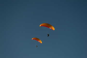 A beautiful view of a paraglide flying gliding on a clear blue sky at the golden hour with a nice wind windy breeze on a sunny day 