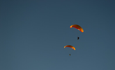 A beautiful view of a paraglide flying gliding on a clear blue sky at the golden hour with a nice wind windy breeze on a sunny day 
