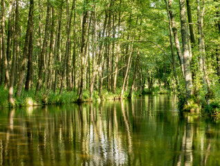 Wda river