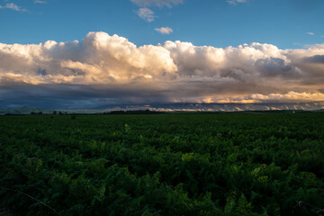 Farmland and Sunset