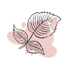 Stylish line art on a delicate pink background.