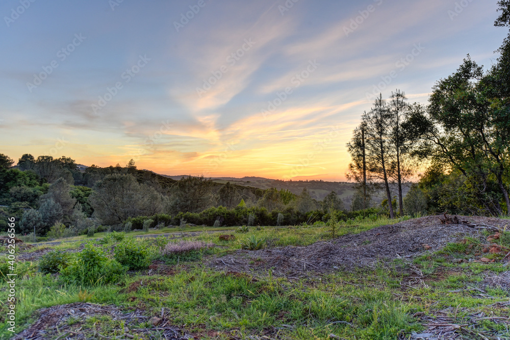 Wall mural lavender field at sunset