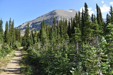 Glacier National Park 2018