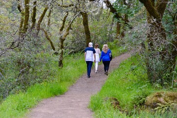 Obraz premium walking in the park