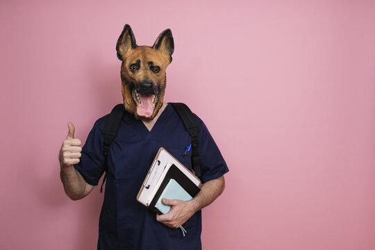 Young man in a latex dog head mask with a backpack and copybooks on a pink background
