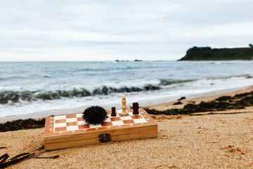 Playing chess on a Board on the beach. Chessboard and sea urchin on the background of the sea and the Peninsula on a Sunny day. Vacation on the coast.