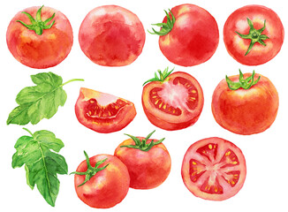 トマト　トマトの葉　カットトマト　素材集　水彩画