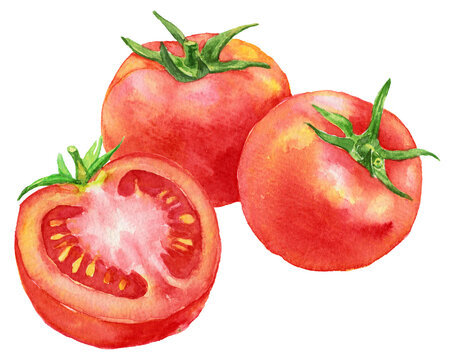 トマト２つと半分のトマト　水彩画