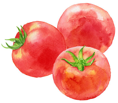 トマト　3つ　水彩画