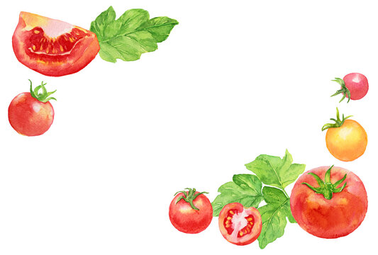 トマト　ミニトマト　フレーム　横　水彩画　
