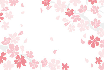 Obraz na płótnie Canvas シンプルな満開の桜の背景素材