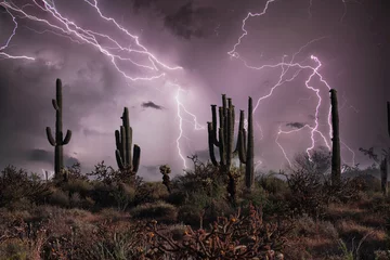 Wall murals Arizona Saguaro Silhouette in Lighting Storm in Phoenix Arizona with a Purple Sky