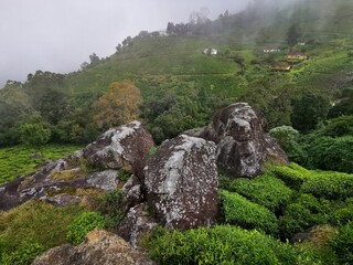 Amazing view of Kinnakorai mountain valley in Nilgiri district, Tamilnadu, India.