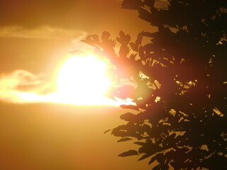 Pointing to the horizon and seeing the most beautiful silhouette