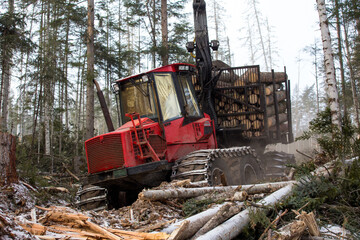 The work of heavy logging equipment in the winter taih. A forwarder, loaded with sawed wood, descends from a steep slope of a snowy mountain to eat coniferous trees.